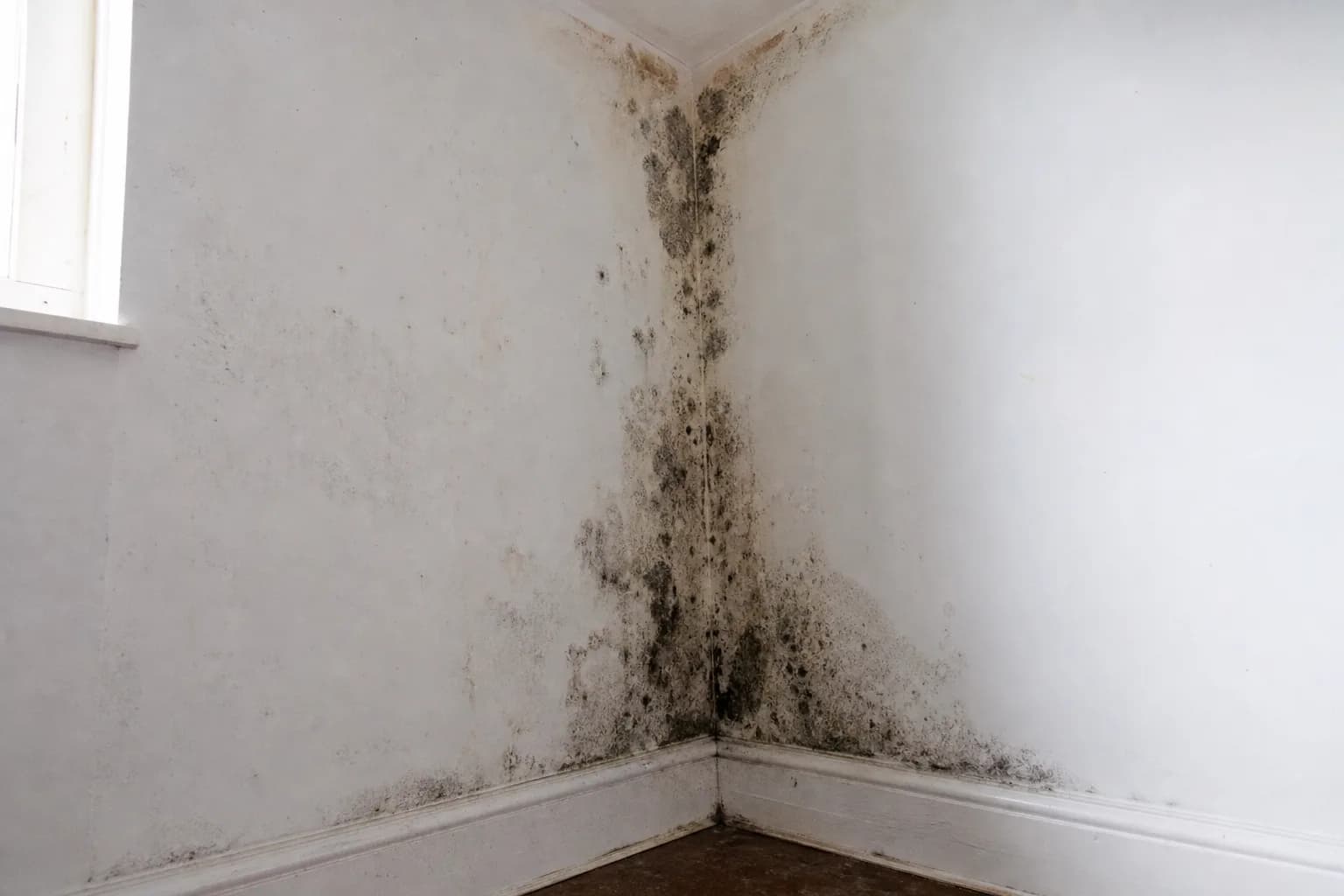 Mold damage in an Arizona home that needs to be sold